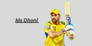 Ms Dhoni Net Worth 